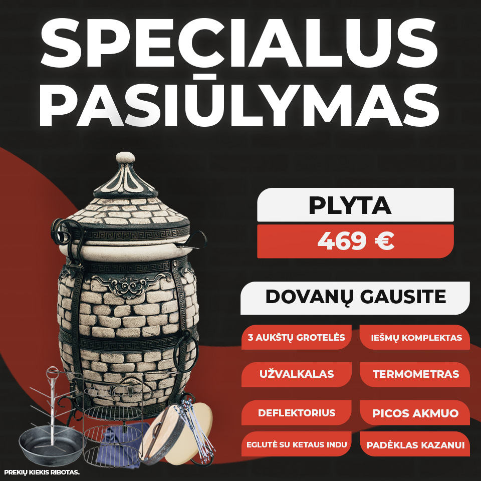 Plyta